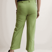 Parrot Green Formal Pant - VIBE