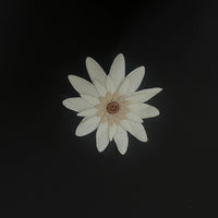 Multilayer Flower Hair Clip - VIBE
