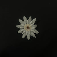Multilayer Flower Hair Clip - VIBE